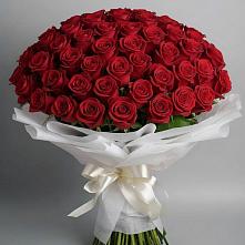 Букет 101 Красная роза Блэк Мэджик в Зверево