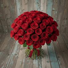 Букет 55 Красных роз Фридом #REPLACE_PRED# Зверево