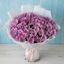 Букет цветов из:  Хризантемы #REPLACE_PRED# Зверево