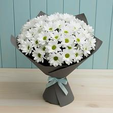 Букет цветов из:  Хризантемы в Зверево