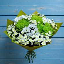 Букет цветов из:  Хризантемы в Зверево