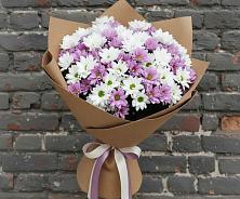 Букет цветов из:  Хризантемы #REPLACE_PRED# Зверево