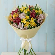 Букет цветов из:  Альстромерии в Зверево