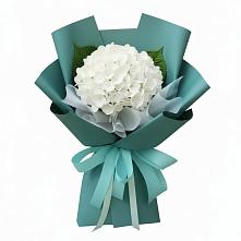 Букет цветов из:  Гортензия в Зверево